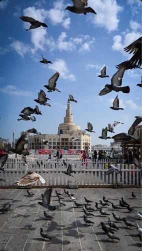 مدير العمليات