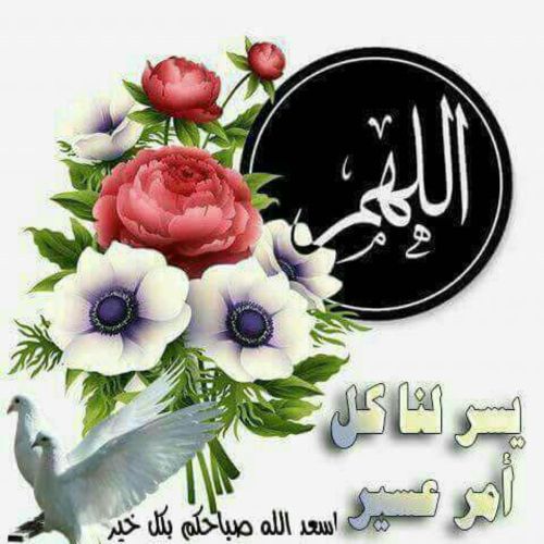 الاستاذ قيس اسعد اردني 