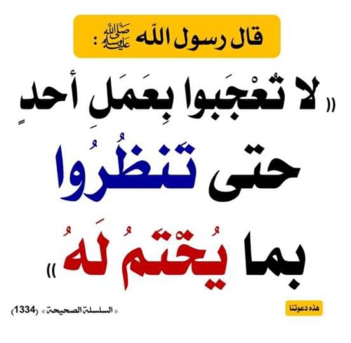 اختبارات مدارس قطر