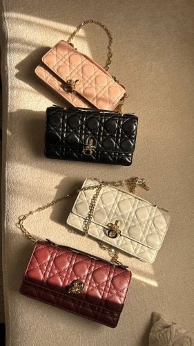 شنطة ديور باحلى الالوان