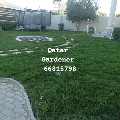 Qatar gardener