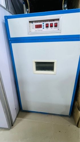 Ostrich  Egg Incubator Available 