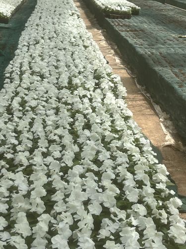 ورود 