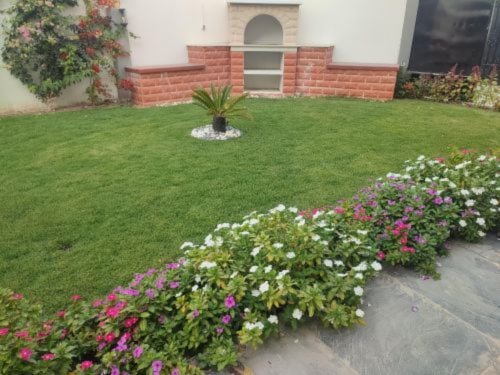 زراعه وتنسيق الحدائق وصيانه