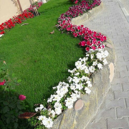 زراع وترتيب الحدائق