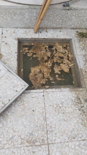 علاج الروائح الكريهة وتسليك المجا