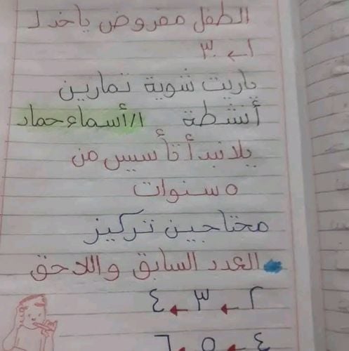 ميس نور