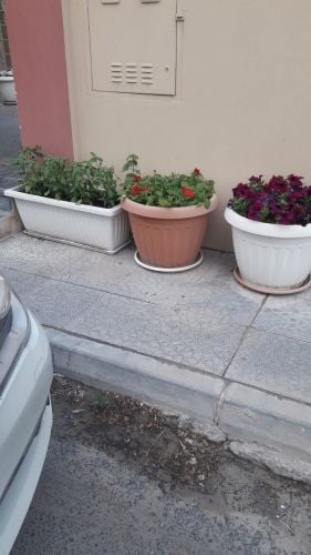 احواض زراعه