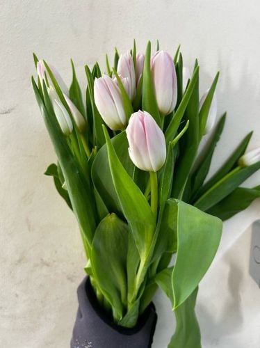 wholesale flower available