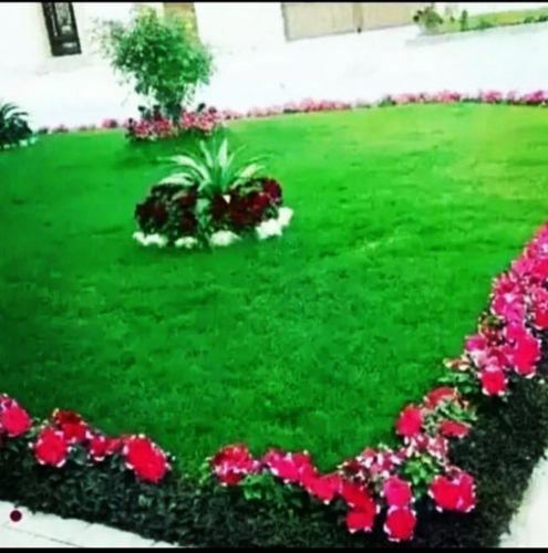 Coordinating and arranging home g