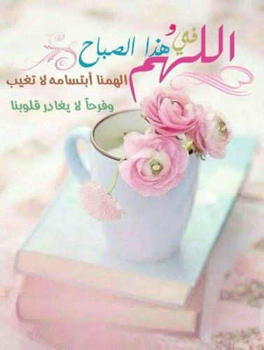 مدرس لغة عربية