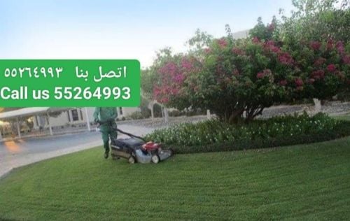 Shakeel Ahmad Ansari