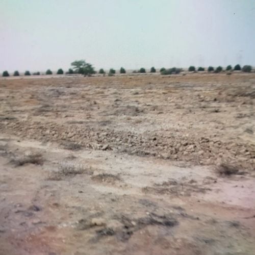 مزرعه موجوده في روضه راشد