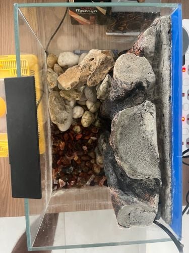 Fish tank with accessories