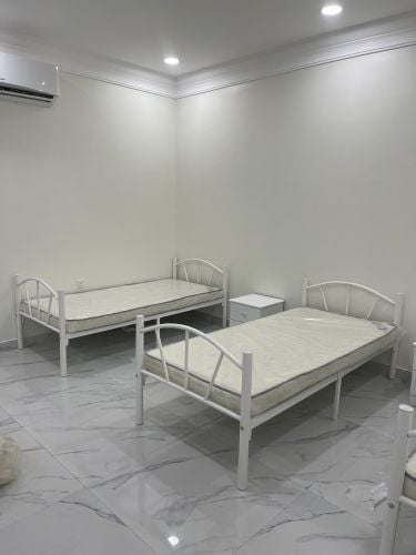 New Single Bed , Bunk Bed 