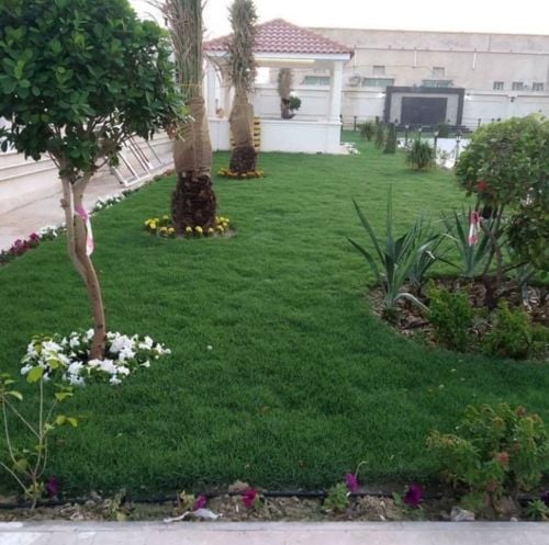 زراعة الحدائق وعمل شبكات الري