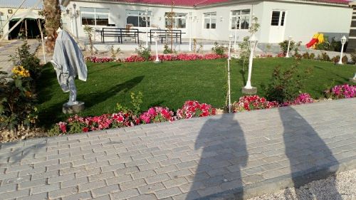 زراعة الحدائق