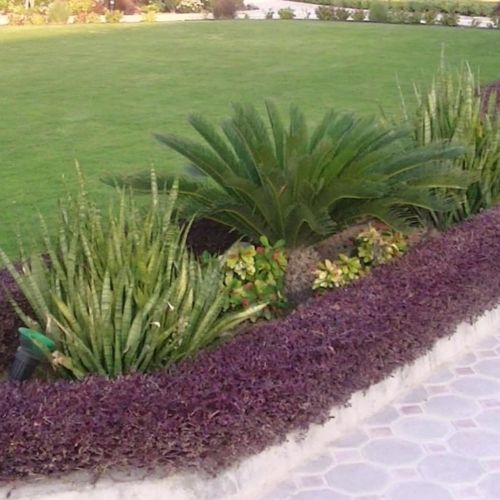 تنسيق وترتيب حدائق