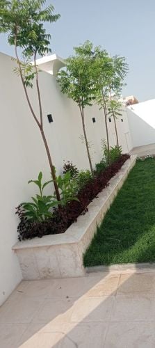 مهندس زراعي