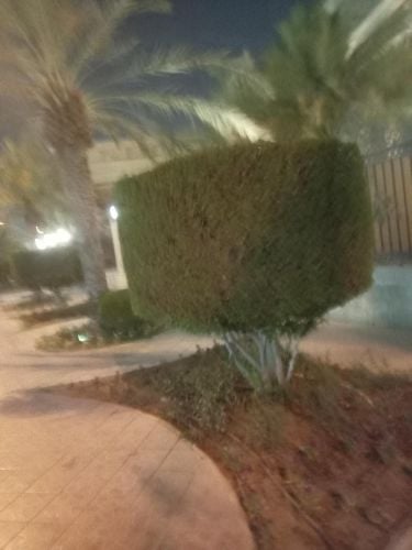 صيانه ومتابعه؛شهريه
