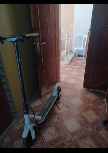 tomoloo electric scooter