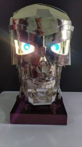 TERMINATOR HEAD