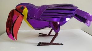 Toucan Bird