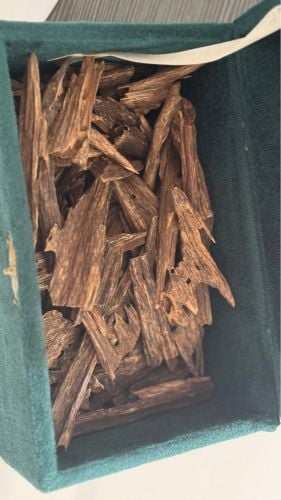 LUXURY OUD 