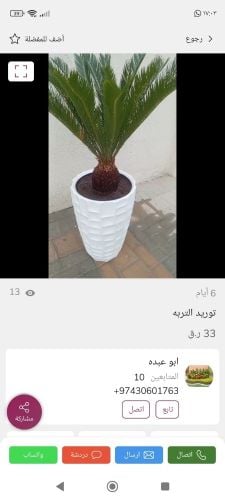 توريد وزراعة الأحواض