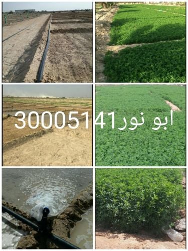 زراعة المزارع