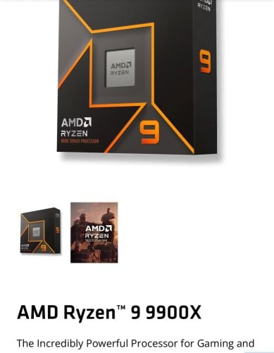 amd rayzen 9 9900x 