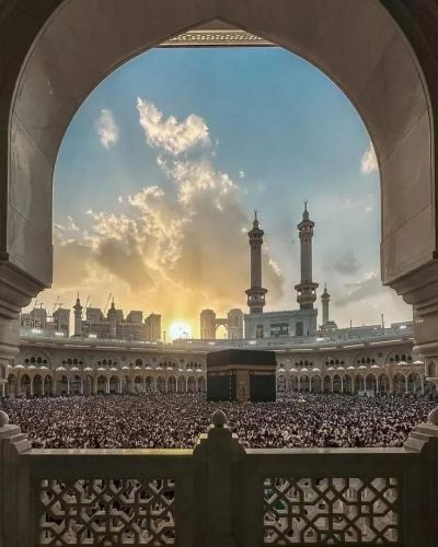 CV Professionnel Maker