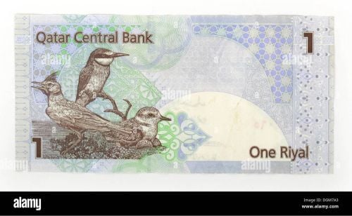 old 1 riyal collected 