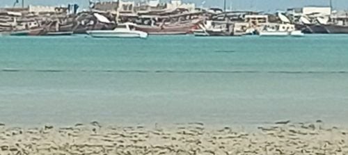 معلمة تاسيس وتحفيظ