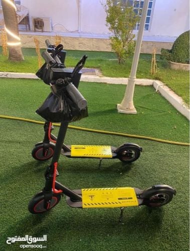 Electric Scooter 