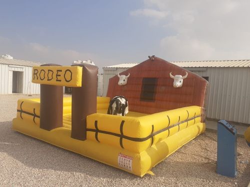 للايجار الثور الهائج