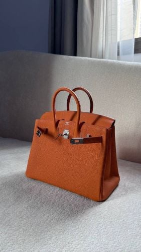 Hermes Birkin 25 Togo Etoupe