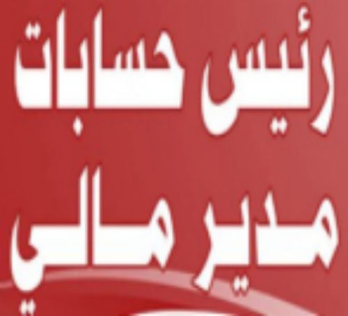 مدير مالي