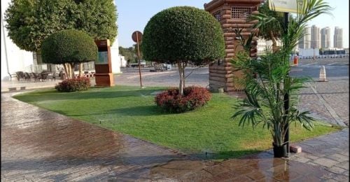 عنايه الحدائق ورش المبيدات