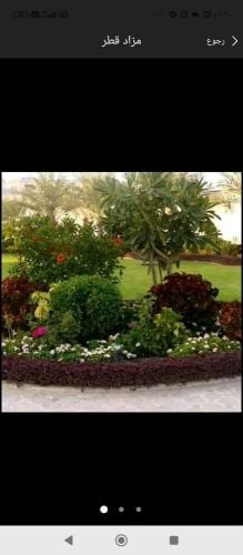 مزارع