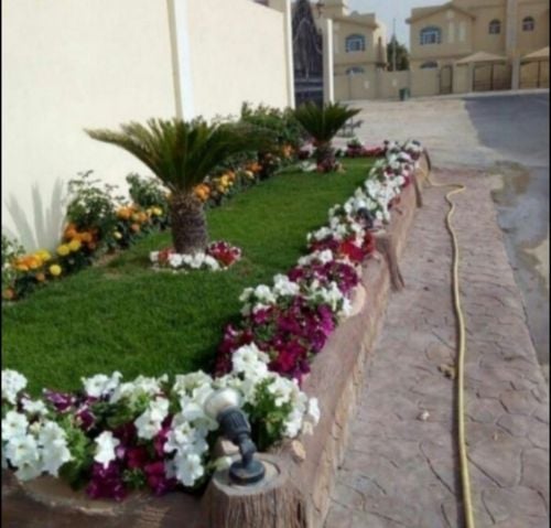 زراعه الورود والاسجار