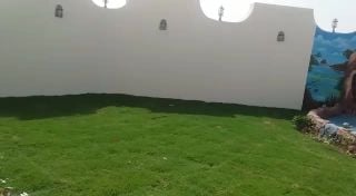 جلسات نوفير شلالات