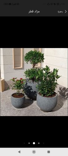 احواض زراعه