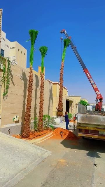 زراعيه وتنسيق الحدائق