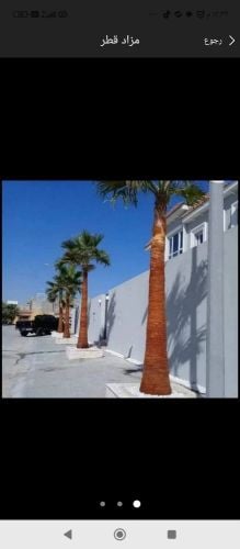 تقريب وتعقيم