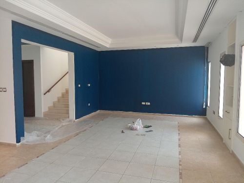 we are specialist house painting