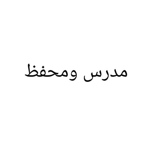 مدرس لغة عربية ،   ومواد أدبية .
