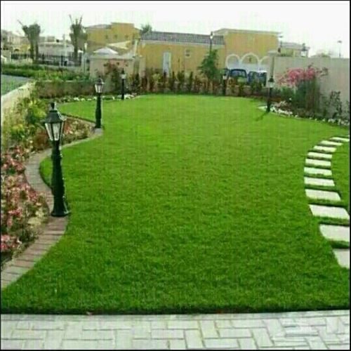 ترتيب وصيانة الحديق