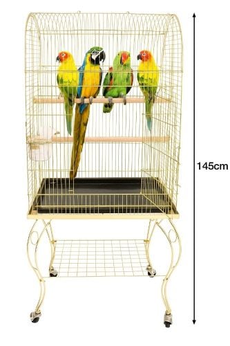 Gold cage for parrot