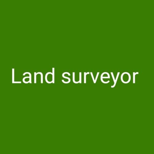 Land surveyor  (looking for job)
